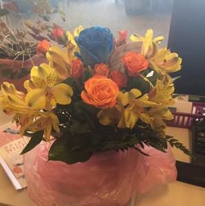 Meet your Posher, Vicki